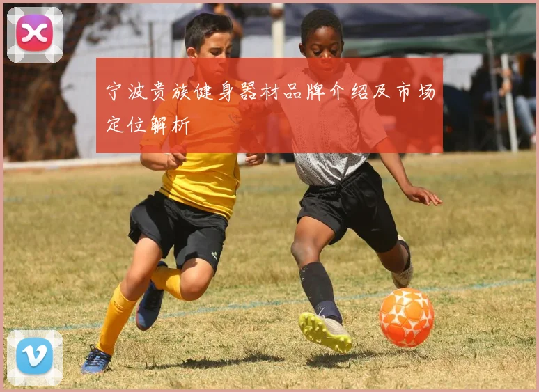 宁波贵族健身器材品牌介绍及市场定位解析