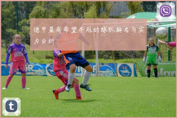 德甲最有希望夺冠的球队排名与实力分析