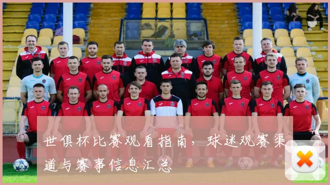 世俱杯比赛观看指南，球迷观赛渠道与赛事信息汇总
