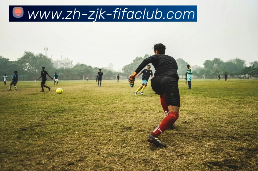 世界杯买球平台生态图