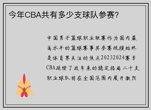 今年CBA共有多少支球队参赛？